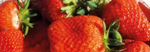 Erdbeeren