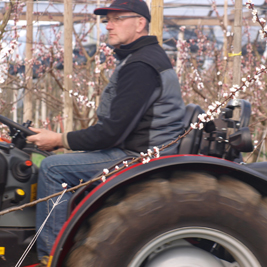 Herr Stechmann Trecker